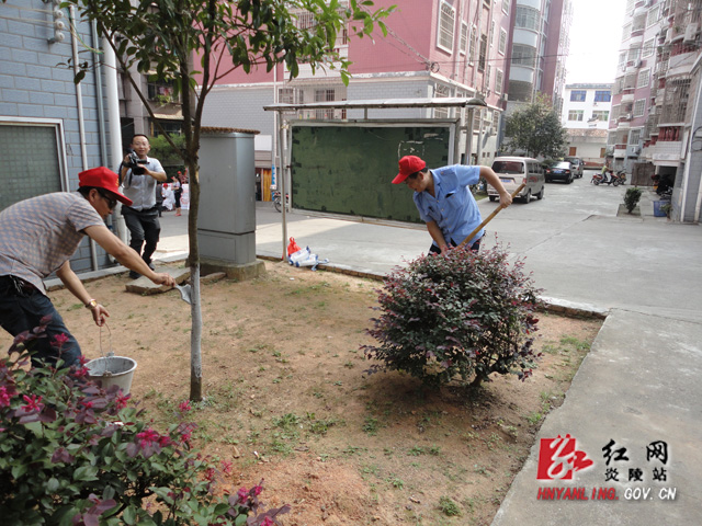 党员进社区 北区在行动