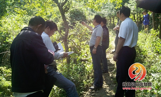 攸县法院行政庭走进大山调查一起林地纠纷案