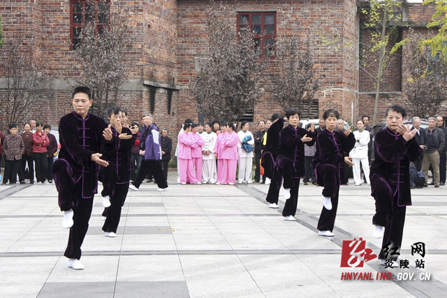 市第十二届运动会武术比赛在炎陵举行