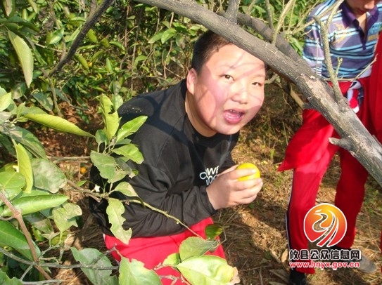走出校园，走进桔园