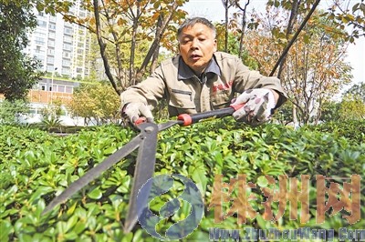 修整施肥， 保植被过冬