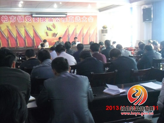 柏市镇召开四季度工作调度会