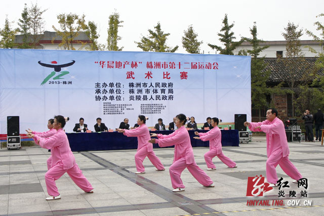 市第十二届运动会武术比赛在炎陵举行