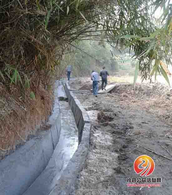 陈运发一行到黄丰桥镇督察指导三冬生产工作