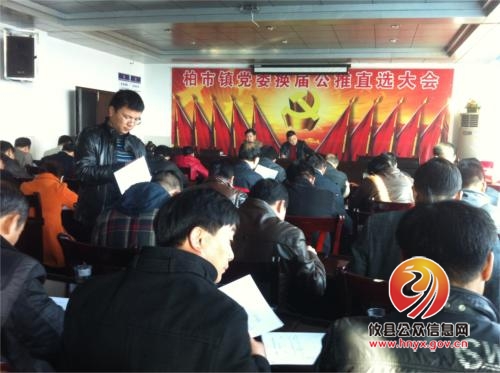 县委组织部到柏市镇召开2013年度领导班子及成员民主测评会