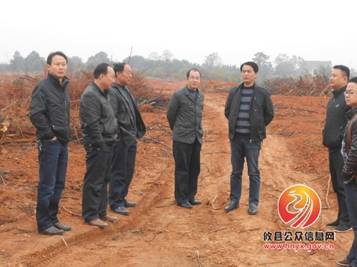 县冬季林业生产指导组到上云桥镇指导冬季造林工作