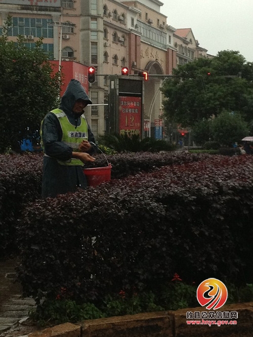 攸县市政园林管理处全力做好城区树木绿化养护工作