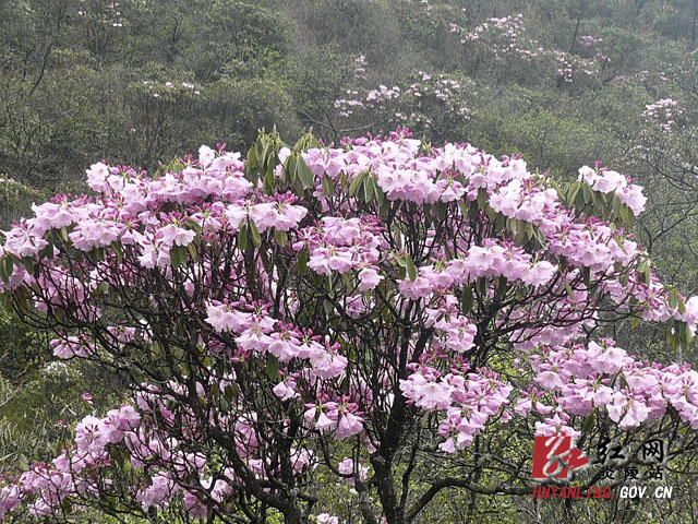 我县再添三张旅游名片