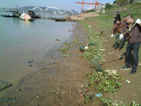 区水利局大力治理湘江“绿色水患”