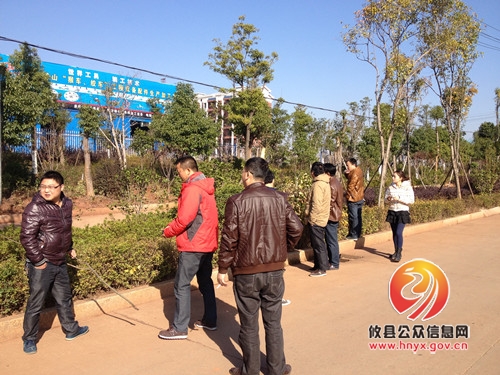 攸县市政园林管理处：将城区绿化严格实行绩效考核