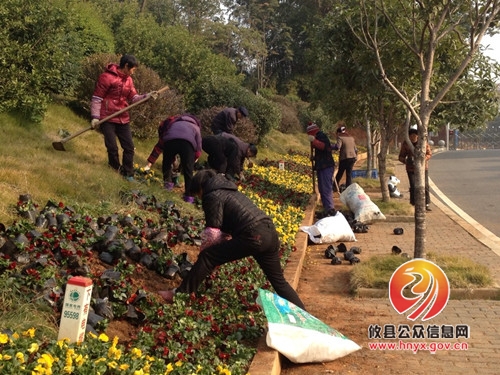 攸县:鲜花扮靓县城 添喜不忘节俭
