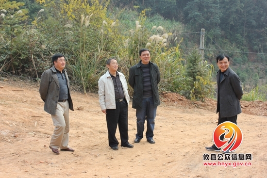 尹诺昂一行到槚山乡调研农村工作