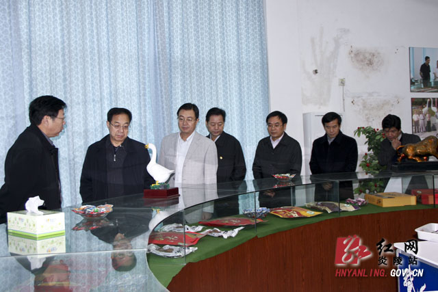 民政部副部长宫蒲光来炎调研指导片区扶贫攻坚工作