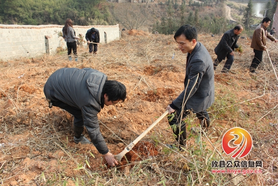 槚山乡全体机关干部开展义务植树活动