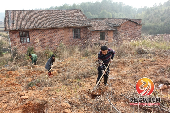 槚山乡全体机关干部开展义务植树活动