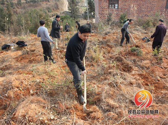 槚山乡全体机关干部开展义务植树活动