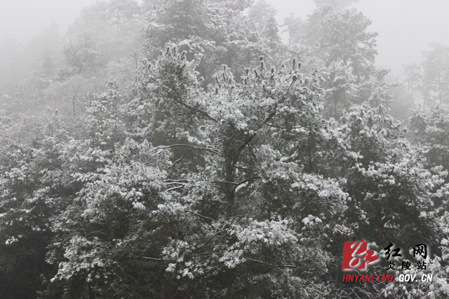 炎陵雪景（组图）