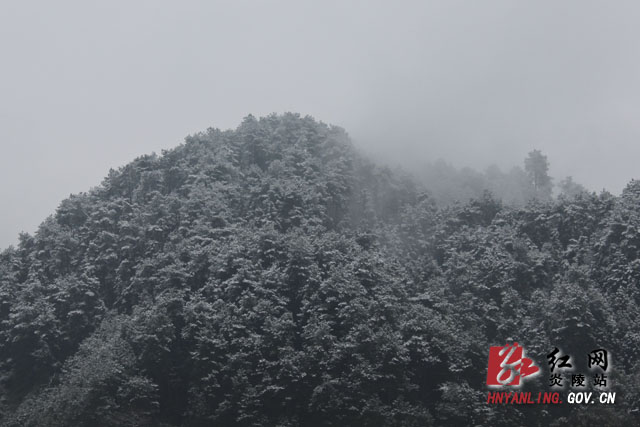 炎陵雪景（组图）