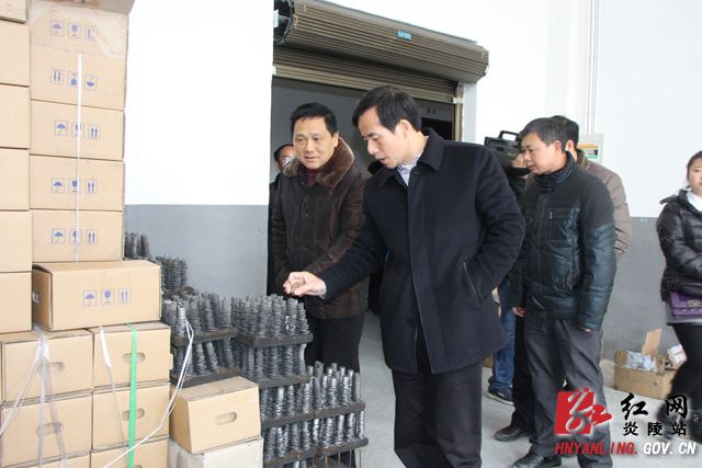 刘正平：政府和企业积极互动 共同把产业做大做强