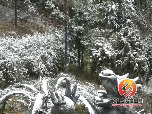 黄丰桥镇积极应对雨雪天气　全力保障居民正常生活