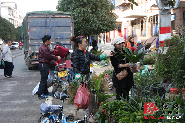 炎陵县市民掀起花卉植物种养热