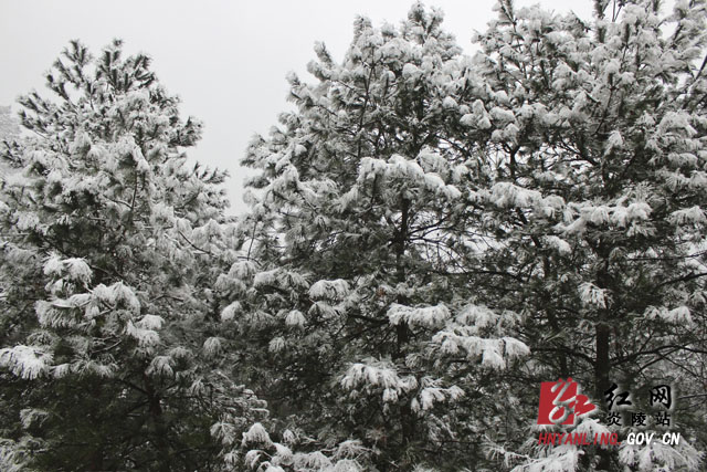 炎陵雪景（组图）
