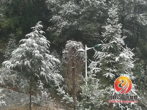 黄丰桥镇积极应对雨雪天气　全力保障居民正常生活