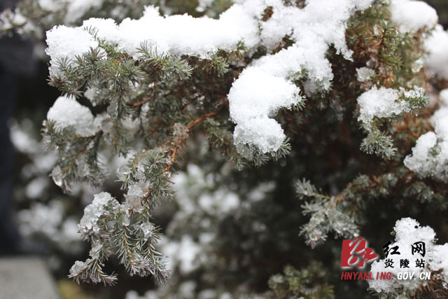 炎陵雪景（组图）