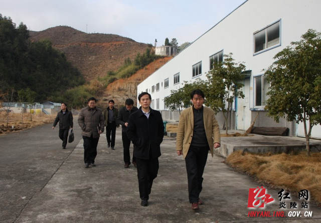 刘正平：政府和企业积极互动 共同把产业做大做强