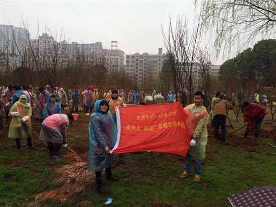 株洲县两型办带领志愿者植树