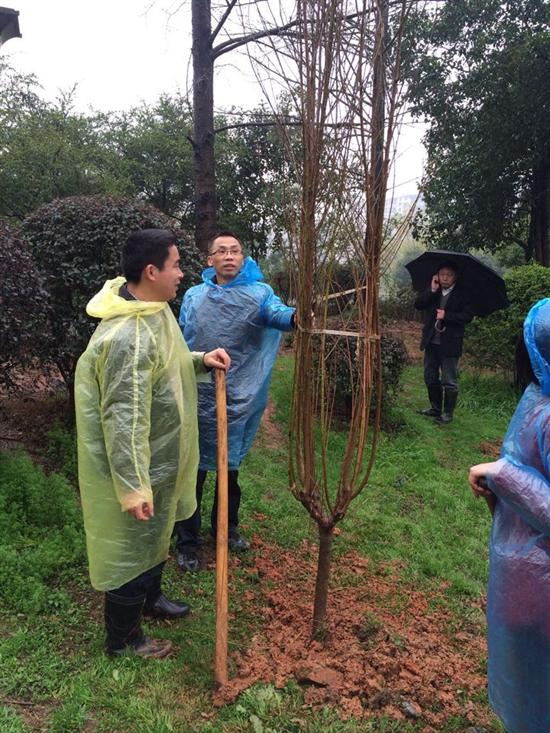 株洲县两型办带领志愿者植树