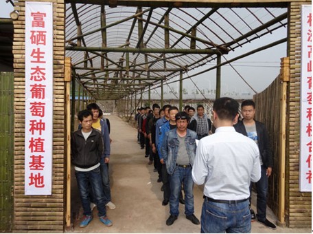 云龙示范区首个社区矫正公益劳动基地建成