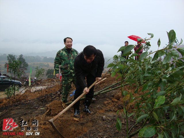炎陵县直机关干部职工植树节挥锄植绿
