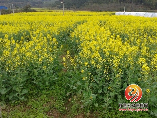 总工会组织人员来柏市登山