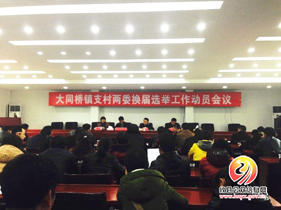 大同桥镇召开支村两委换届选举工作动员会议