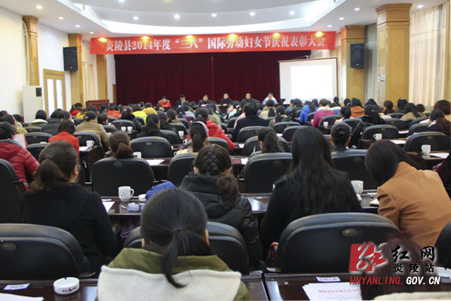 炎陵县召开妇女节庆祝表彰大会