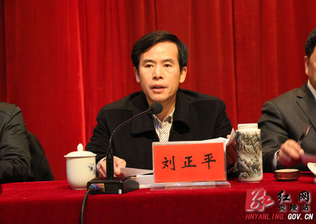 炎陵县召开党务工作会议