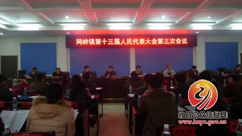 网岭镇召开第十三届人民代表大会第三次会议