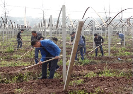 云龙示范区首个社区矫正公益劳动基地建成