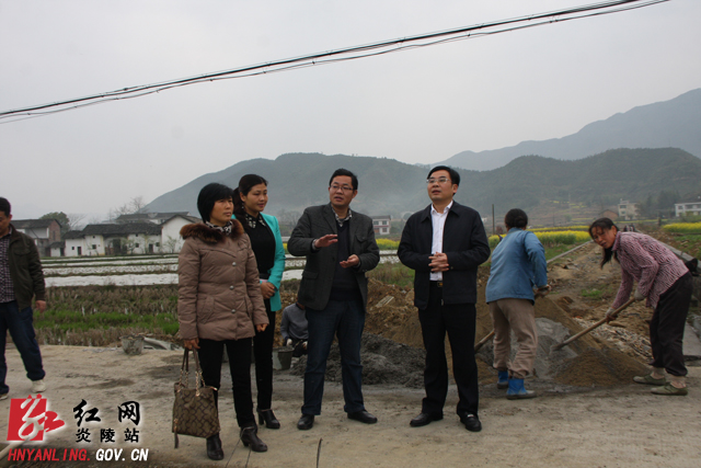 黄诗燕：同心协力推动天平村建设＂美丽乡村＂