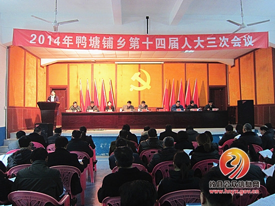 攸县鸭塘铺乡成功召开第十四届人民代表大会三次会议