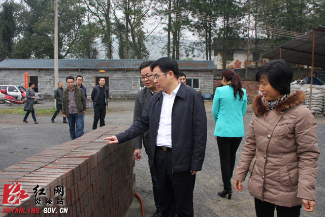 黄诗燕：同心协力推动天平村建设＂美丽乡村＂