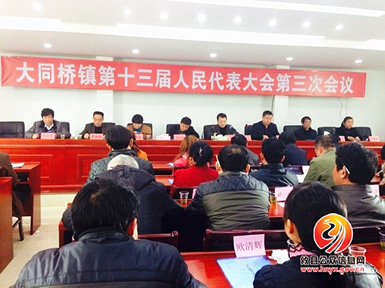 大同桥镇第十三届人民代表大会第三次会议胜利召开