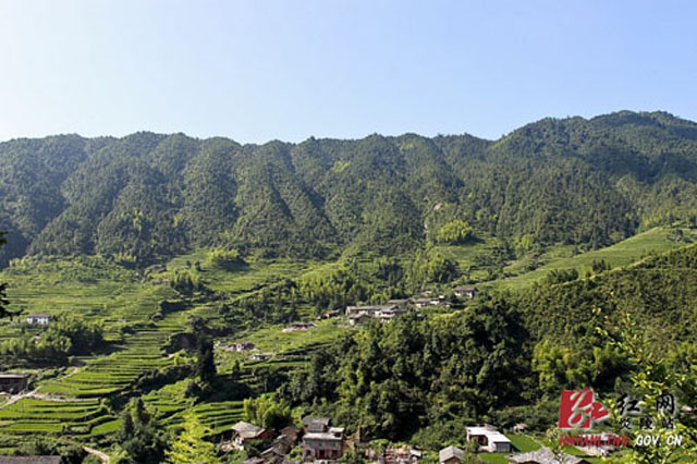 【先进经验】乡村美景入画来