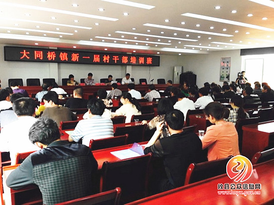 大同桥镇举办新一届村干部培训班