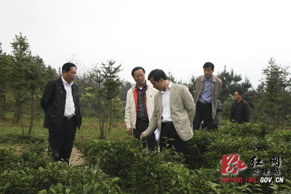 刘正平：抓产业强经济 努力打造特色乡镇