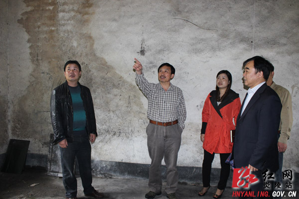 张雄在龙凤村蹲点调研党建帮扶工作