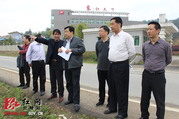 市委第一督导组深入我县调研指导教育实践活动