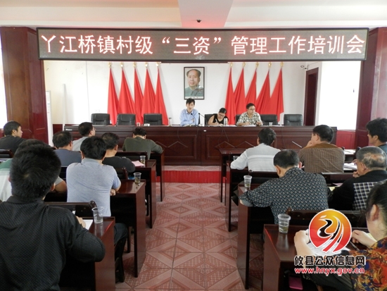 丫江桥镇召开村级“三资”管理工作培训会