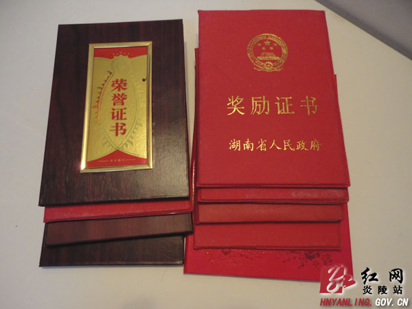【通讯】她是一只筑巢的燕子——追记炎陵县下村乡国土员邱青梅同志